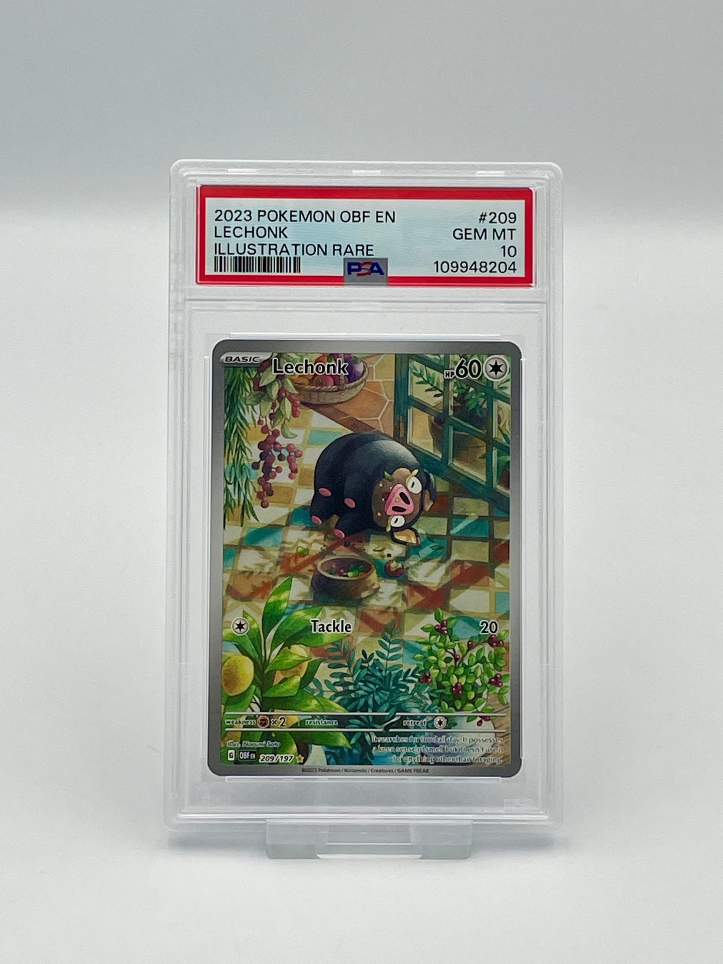 Lechonk #209 Illustration Rare – Obsidian Flames – PSA 10